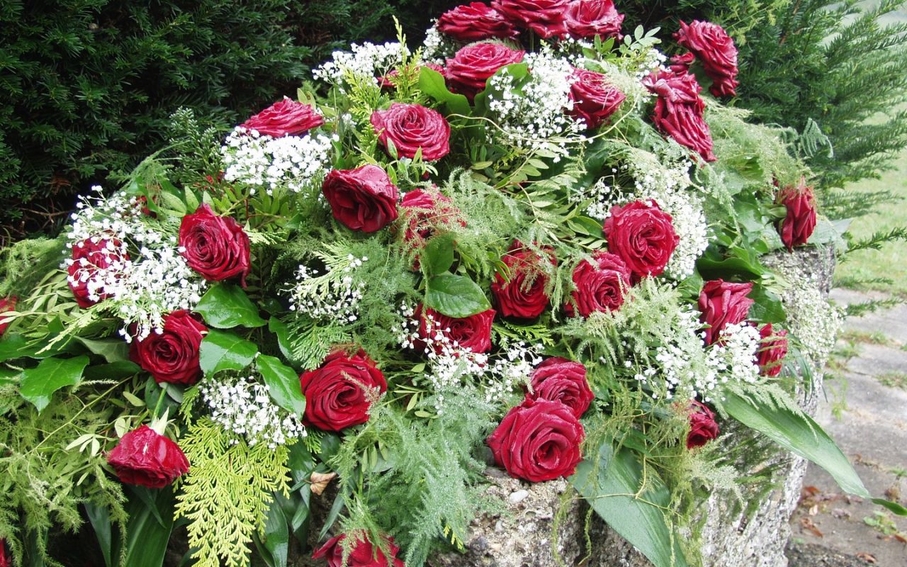 plant-flower-red-botany-cemetery-garden-1143670-pxhere.com